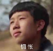 惆怅（王境泽）