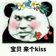宝贝来个kiss(熊猫头口衔鲜花)