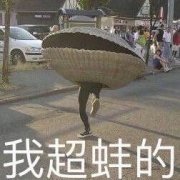 我超蚌的（我超棒的）