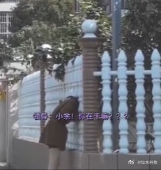 轻松一刻:嘴上很诚实,身体却很配合 轻松一刻:嘴上很诚实,身体却很配合