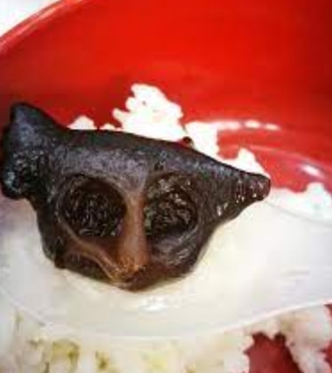 轻松一刻:嘴上很诚实,身体却很配合 轻松一刻:嘴上很诚实,身体却很配合