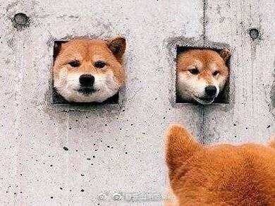 轻松一刻:嘴上很诚实,身体却很配合 轻松一刻:嘴上很诚实,身体却很配合