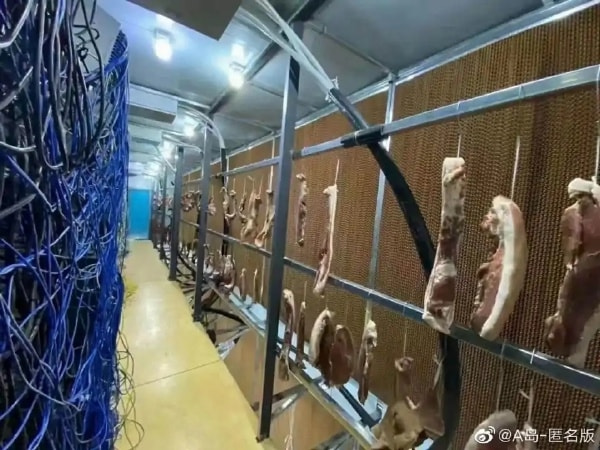 轻松一刻:嘴上很诚实,身体却很配合 轻松一刻:嘴上很诚实,身体却很配合