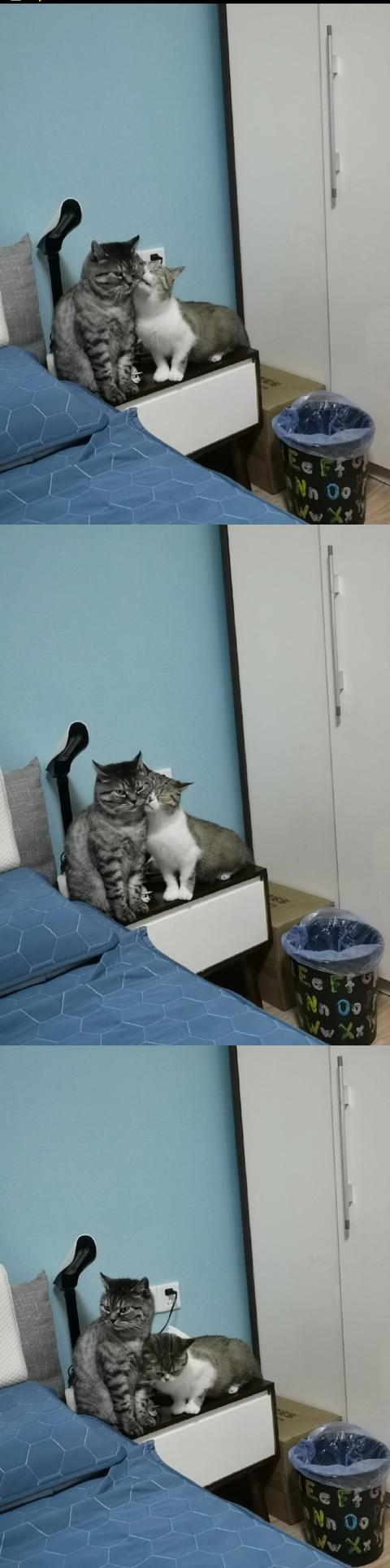 女同事让我假冒她男朋友,见到她妈妈,我愣得不敢说话 女同事让我假冒她男朋友,见到她妈妈,我愣得不敢说话