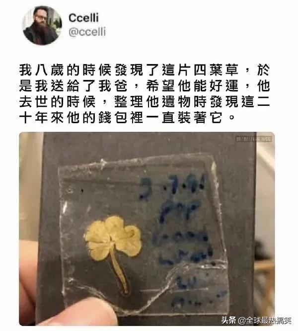 车模这衣服设计估计可以拿肉贝尔奖 车模这衣服设计估计可以拿肉贝尔奖