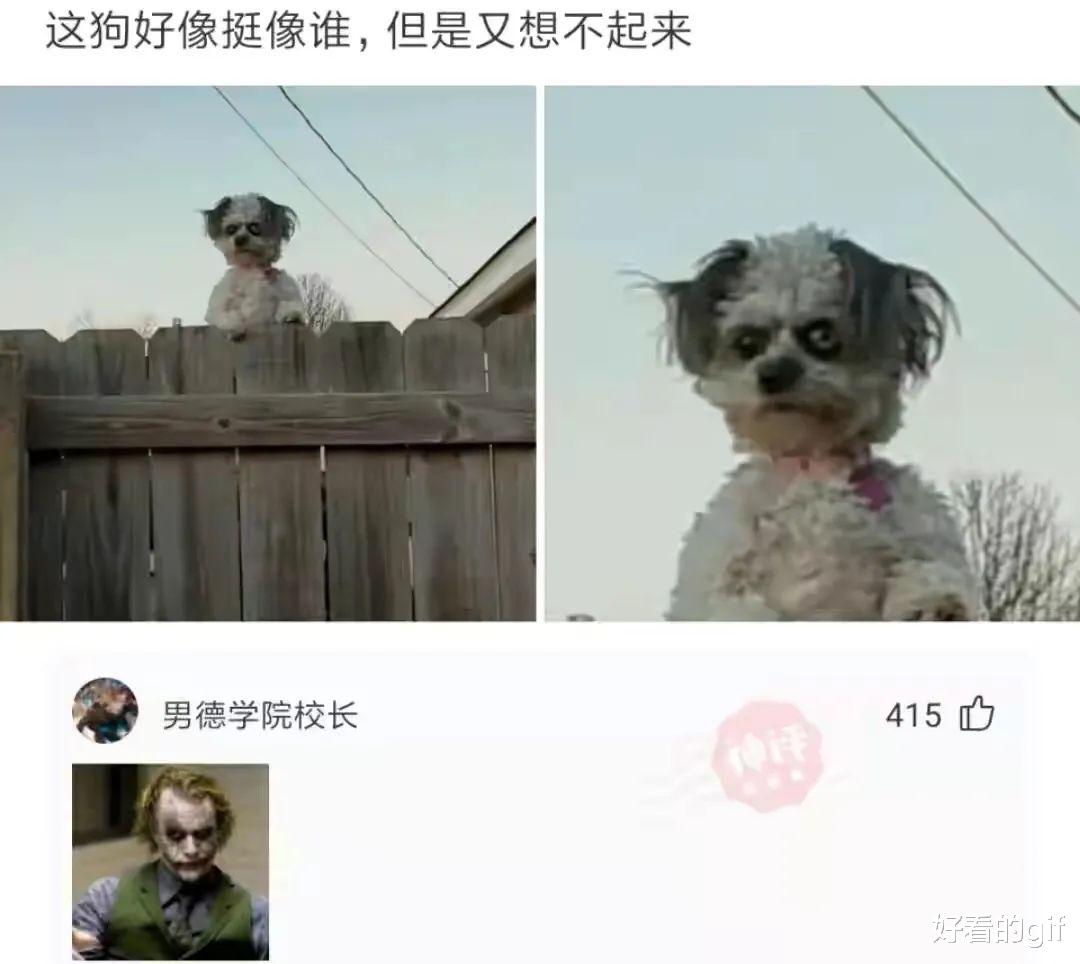 “这位外卖小哥是谁家派来的?”哈哈哈评论区脑洞大开 “这位外卖小哥是谁家派来的?”哈哈哈评论区脑洞大开