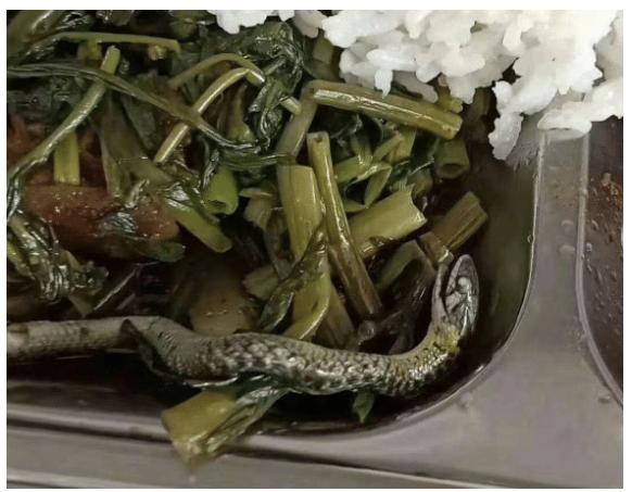 “公司食堂临时加餐,这啥啊,我是遭人暗算了吗?”哈哈哈大补啊 “公司食堂临时加餐,这啥啊,我是遭人暗算了吗?”哈哈哈大补啊