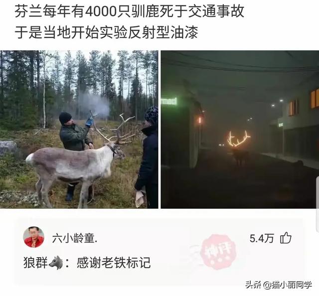 沙雕问题神回复:有个漂亮老婆,还要出去玩丑女人的是什么心理? 沙雕问题神回复:有个漂亮老婆,还要出去玩丑女人的是什么心理?