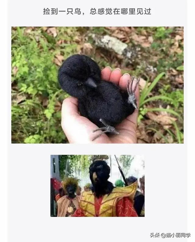 沙雕问题神回复:有个漂亮老婆,还要出去玩丑女人的是什么心理? 沙雕问题神回复:有个漂亮老婆,还要出去玩丑女人的是什么心理?