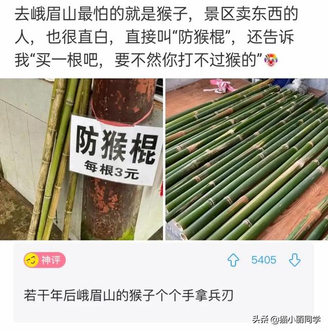 沙雕问题神回复:有个漂亮老婆,还要出去玩丑女人的是什么心理? 沙雕问题神回复:有个漂亮老婆,还要出去玩丑女人的是什么心理?