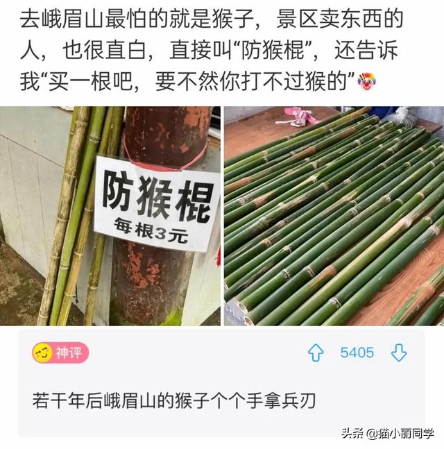 沙雕问题神回复：有个漂亮老婆，还要出去玩丑女人的是什么心理？