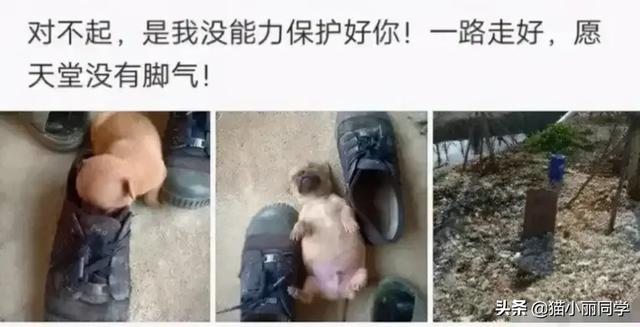 沙雕问题神回复:有个漂亮老婆,还要出去玩丑女人的是什么心理? 沙雕问题神回复:有个漂亮老婆,还要出去玩丑女人的是什么心理?