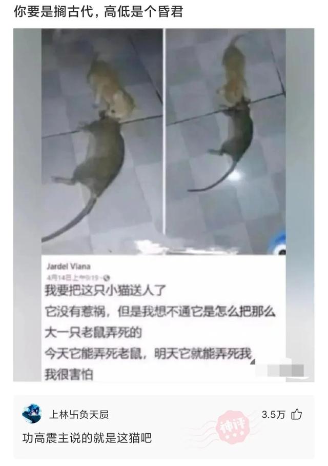 神回复:现在马路上到处都是A4、宝马,真不知道他们是怎么赚到的 神回复:现在马路上到处都是A4、宝马,真不知道他们是怎么赚到的