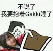 不说了，我要抱着 Gakki 睡了