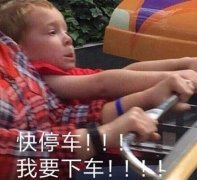 快停车！我要下车！（假笑男孩Gavin）