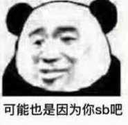 可能也是因为你 sb 吧