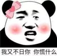 我又不日你你慌什么