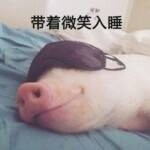 猪猪带着微笑入睡