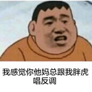 我感觉你他妈总跟我胖虎唱反调