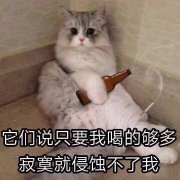 它们说只要我喝的够多，寂寞就侵蚀不了我。猫咪坐在墙角喝酒抽烟