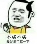 不买不买我就是了解一下