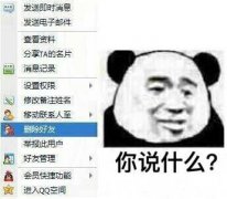 你说什么？！马上删除好友