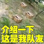 h视(吃鸡) h视(吃鸡)