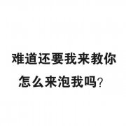 难道还要我来教你怎么来泡我吗？