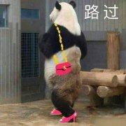 大熊猫穿着高跟鞋背着包包路过