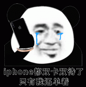 iphone都双卡双待了，只有我还单着