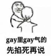 gay里 gay气的先掐死再说