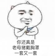 你还真是老母猪戴胸罩，一套又一套