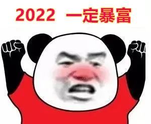 2022一定暴富(熊猫头表情包)