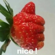 nice !(草莓竖大拇指表情包)