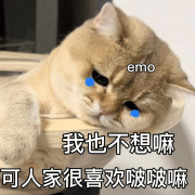 emo 我也不想嘛可人家很喜欢啵啵嘛(猫猫表情包)