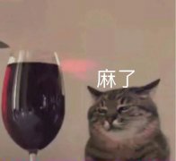 麻了(猫猫表情包)