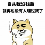 自从我没钱后就再也没有人理过我了