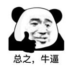 总之,牛逼