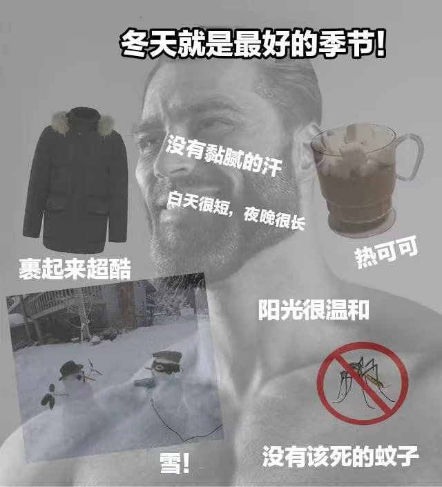 冬天就是最好的季节!没有黏腻的汗白天很短,夜晚很长裹起来超酷热可可阳光很温和雪!没有该死的蚊子