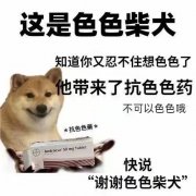 这是色色柴犬知道你又忍不住想色色了他带来了抗色色药不可以色色哦抗色色藥AAndrocur 50 mg 