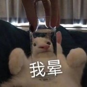 我晕(猫猫表情包)