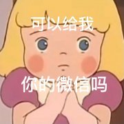 可以给我你的微信吗
