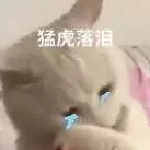 猛虎落泪(猫猫表情包)