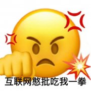 互联网憨批吃我一拳