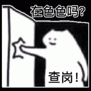 在色色吗?查岗!(猫猫头表情包)