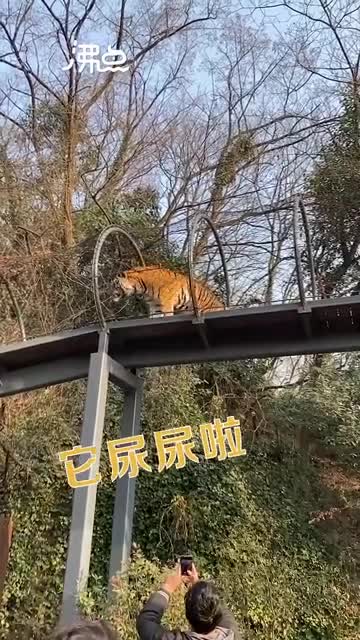 轻松一刻：我真没事，我吃辣条呢！