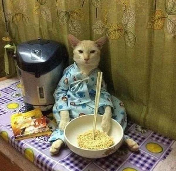 轻松一刻:我真没事,我吃辣条呢! 轻松一刻:我真没事,我吃辣条呢!