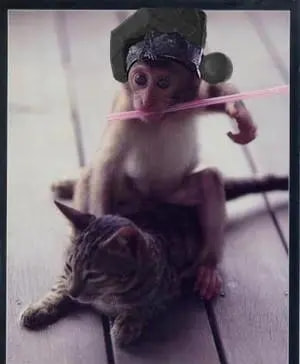 轻松一刻:我真没事,我吃辣条呢! 轻松一刻:我真没事,我吃辣条呢!