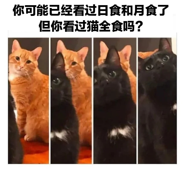 轻松一刻:我真没事,我吃辣条呢! 轻松一刻:我真没事,我吃辣条呢!