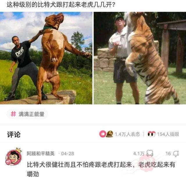 轻松一刻:我真没事,我吃辣条呢! 轻松一刻:我真没事,我吃辣条呢!
